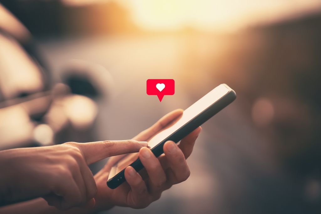 SofiaDate online dating attributes